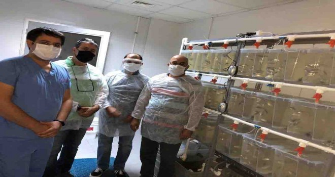 Balık yetiştiriciliğine yeni bir besin kaynağı kazandırılacak