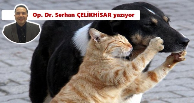 16 Günahsız ve İnsansı’lar…
