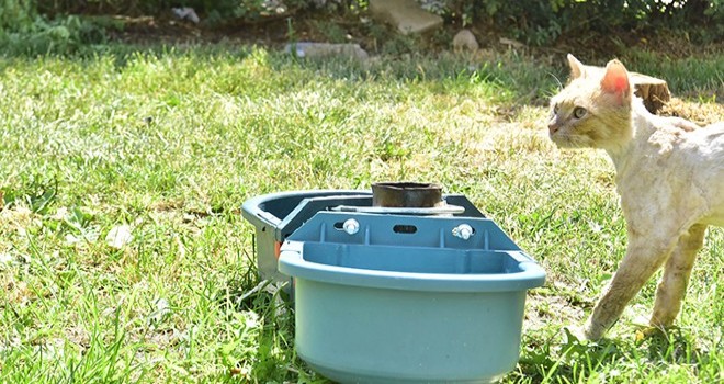 Bornova Parklarına suluk