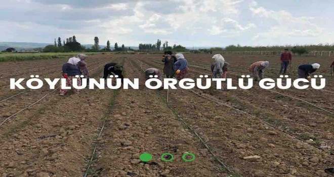 İzmir Köykoop. Birliği bir tıkla yanınızda