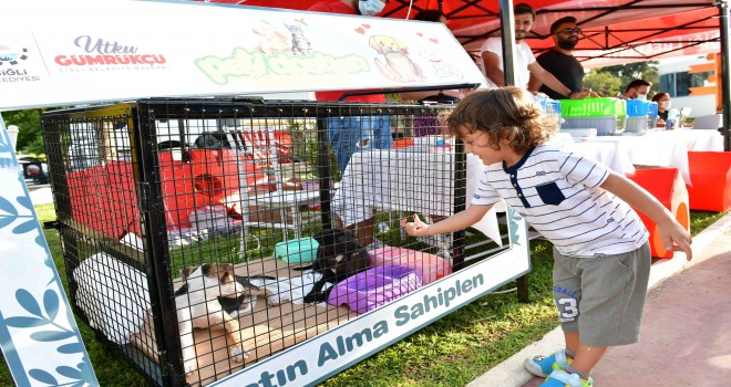 Çiğli’de 3. Pati Dostları Festivali'ne büyük ilgi