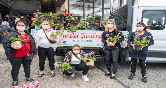İzmir Büyükşehir'den annelere sardunya