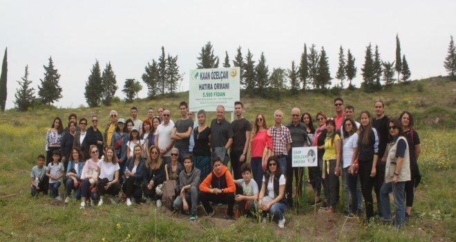 Milli Dansçı fidanlarda yaşayacak
