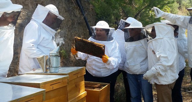 Büyükşehir'den bal gibi destek