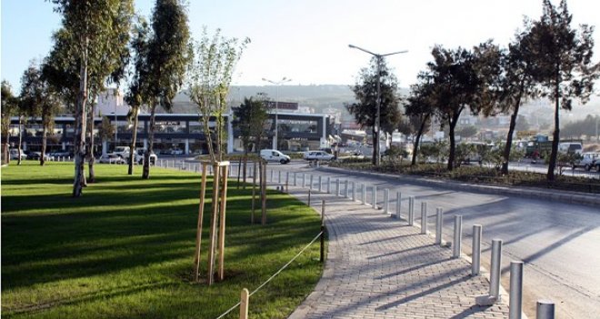 Büyükşehir’den, kavşaklara “Egzoza dayanıklı” ağaç 