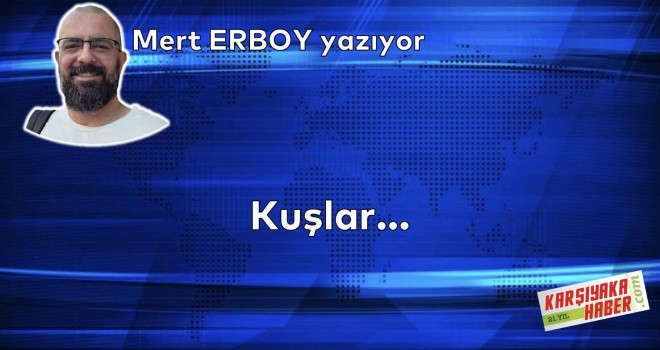 Kuşlar...