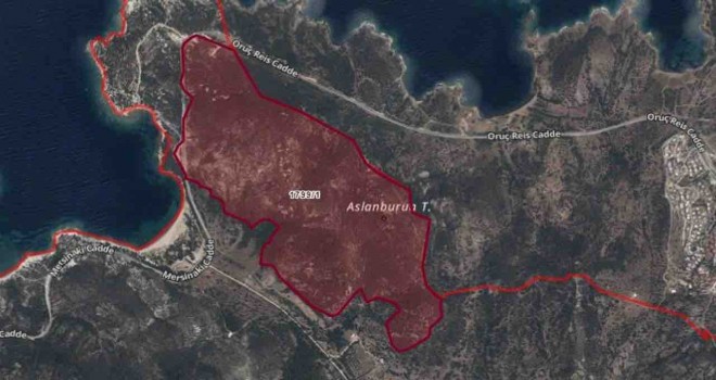 Foça'daki dev plana bakanlıktan itiraz: Ormana girdiniz