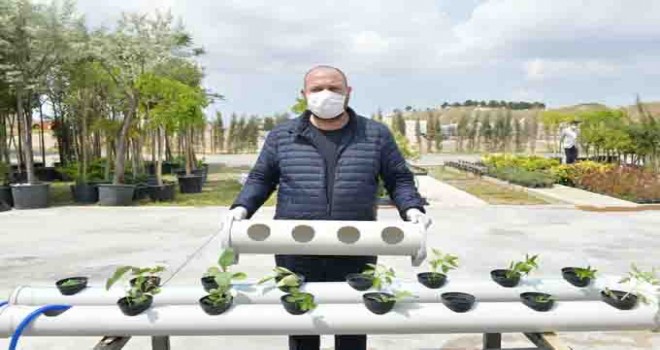 Çiğli’de balkonlarda topraksız tarıma destek