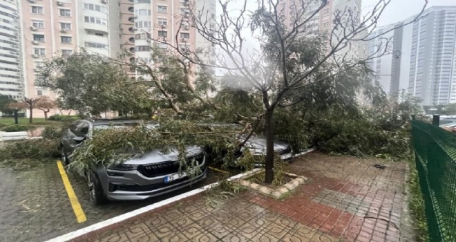 Mavişehir'de fırtınadan ağaç devrildi, 5 araç hasar aldı
