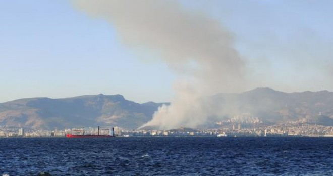 Karşıyaka'da orman yangını çıktı