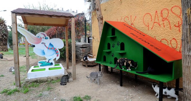 Can dostlar kışı evlerinde geçirecek