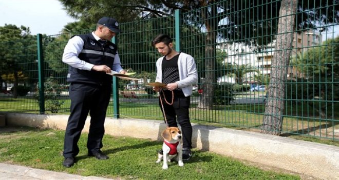 Can dostlar, ‘Veteriner Zabıtası’na emanet