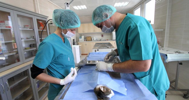 Can dostların sağlığı, Karşıyaka Belediyesi'ne emanet