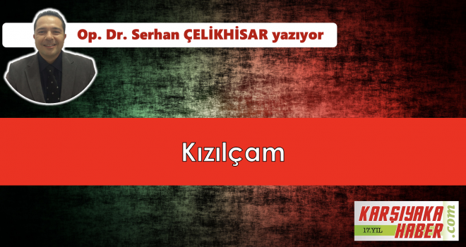 Kızılçam