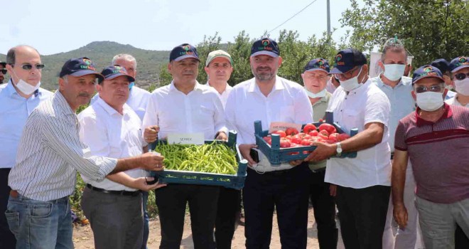 Yerli ve Milli sebzeler Tarla Günü'nde tanıtıldı