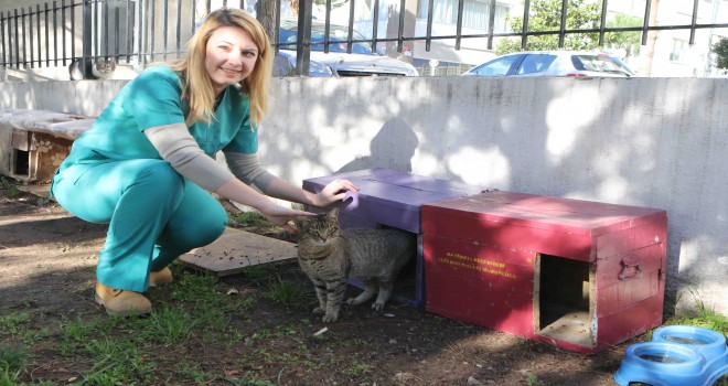 Bayraklı'da hayvanseverlere görevli belgesi