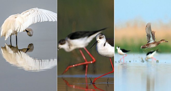 ‘Cennetin’ güzelliğini gözler önüne serdiler