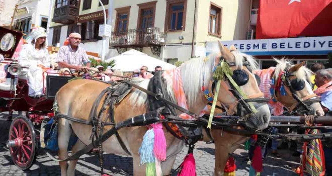 6. Ovacık Tarım ve Sakız Koyunu Festivali başlıyor
