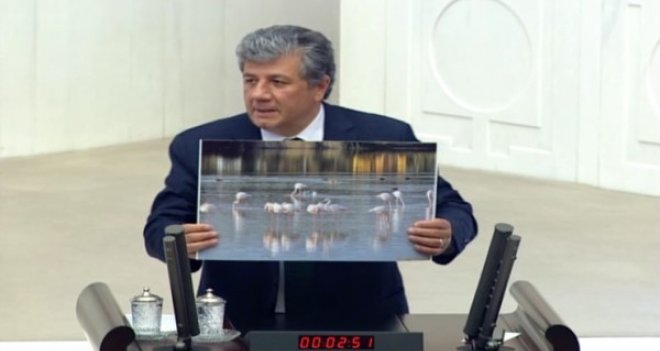 CHP'li Balbay: Kuş Cenneti'nden otoyol mu geçecek?