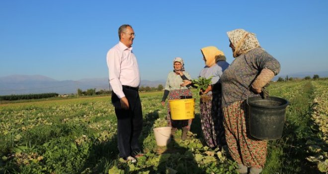 CHP’li Sertel, patates fiyatlarını Meclis’e taşıdı