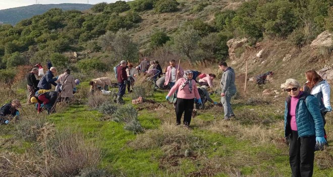 Bornova Belediyesi’nden arıcılara lavanta desteği