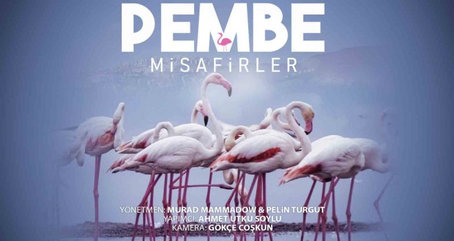 Çiğli’nin ''Pembe Misafirleri'' Berlin'de boy gösterecek