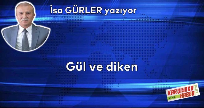 Gül ve diken