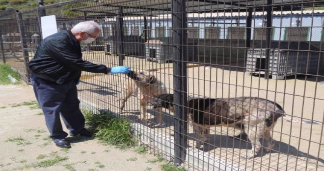 Üçyol Hayvan Sağlığı Merkezi hizmette