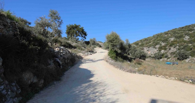 Efes Selçuk Belediyesi tarımsal arazi yollarını yeniliyor