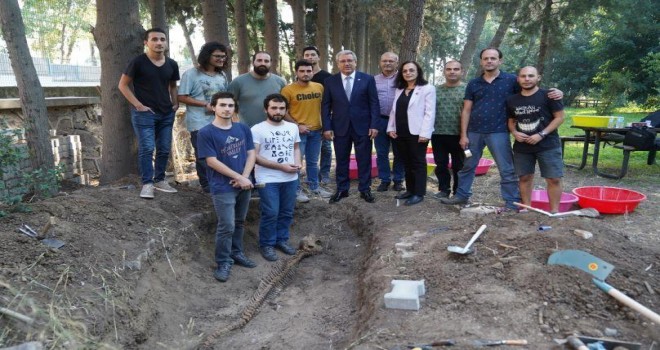 5 yıldır gömülü olan yunusun iskeleti EÜ Tabiat Tarihi Müzesi'nde