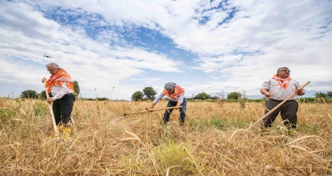 Başkan Soyer ilk hasada katıldı