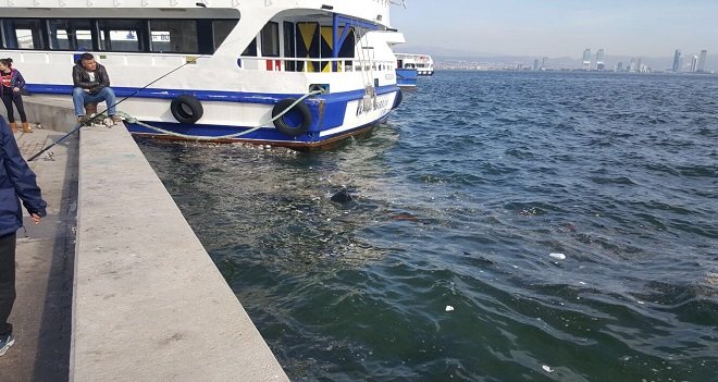 Denizimizi kirletmeyelim...