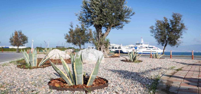 İzmir’in çehresi su tasarruflu bitkilerle güzelleşiyor