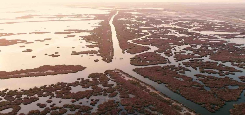 Gediz Nehri mercek altında