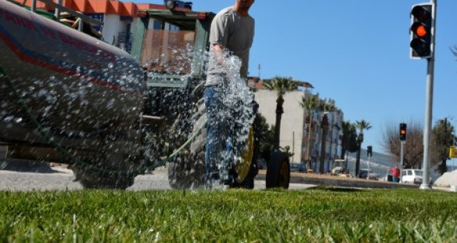 Dikili artık bir başka güzel 