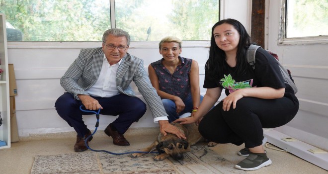 Ege’de can dostlar için Tedavi İstasyonu