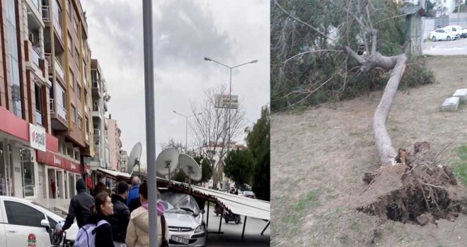 Karşıyaka'da fırtına ağaçları devirdi çatıları uçurdu