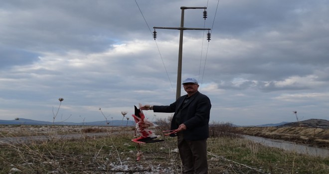 Sertel: Ölümlere seyirci kalmayın