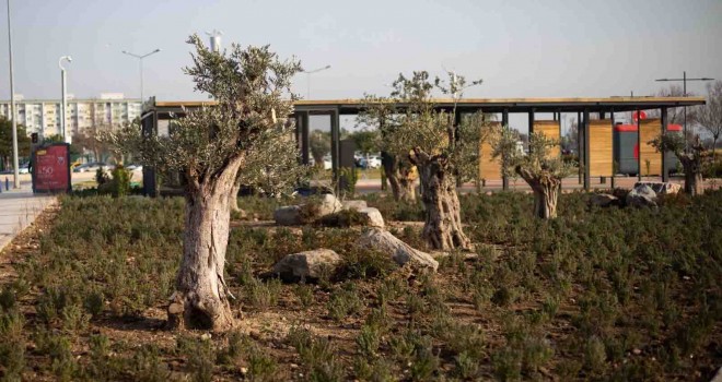 Doğa Şehirde projesi Mavişehir Balıkçı Barınağı’ndan başladı