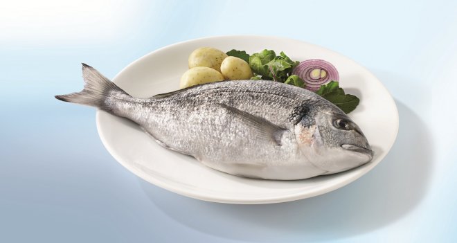 Ege Çipurası doğal afrodizyak