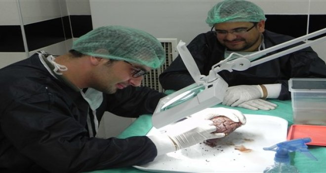 Ege Üniversitesi'nden bir ilk