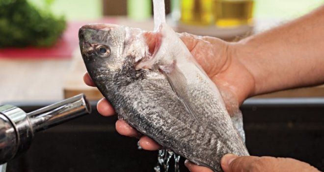 Ege’nin Prensi Çipura dünya sofralarında