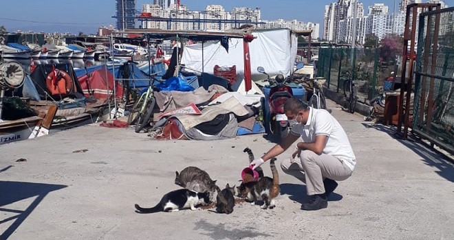 Karşıyaka'da can dostları düşünenler var...