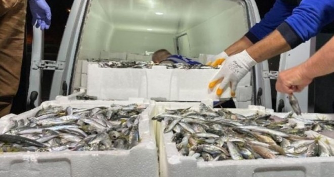 İzmir'de yaklaşık 8 ton balığa el konuldu