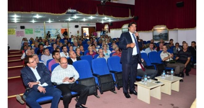 Foça'da ağaç kesimine son