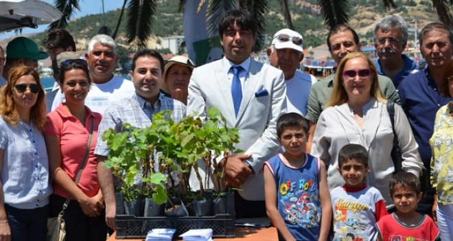 Foça'nın antik meyvesi yeniden yetişecek