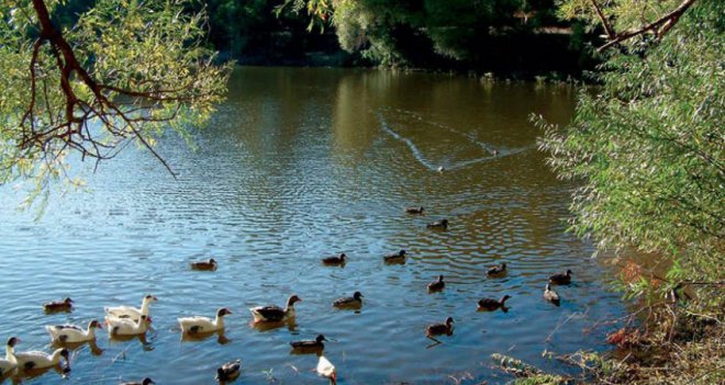 Görenleri kendisine hayran bırakıyor...