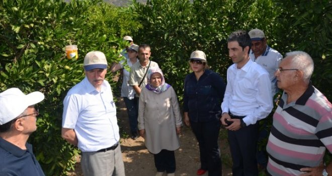 Güldal: Biyoteknik mücadele yapın, desteklemelerden faydalanın