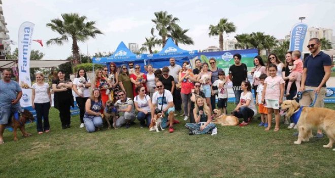 Hayvanseverler Can Dostları Şenliği'nde buluştu