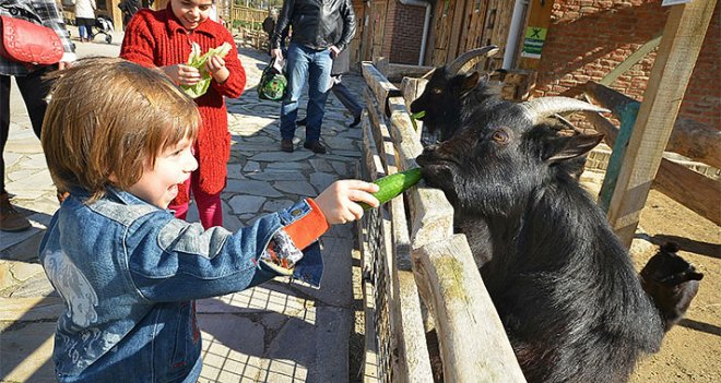 İzmir Doğal Yaşam Parkı öğrencilere ücretsiz...